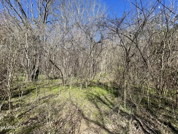 Newport, TN 37821,15.83acres Highway 160