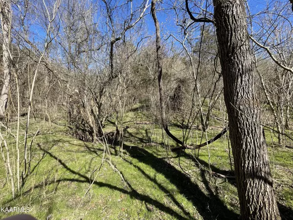 Newport, TN 37821,15.83acres Highway 160