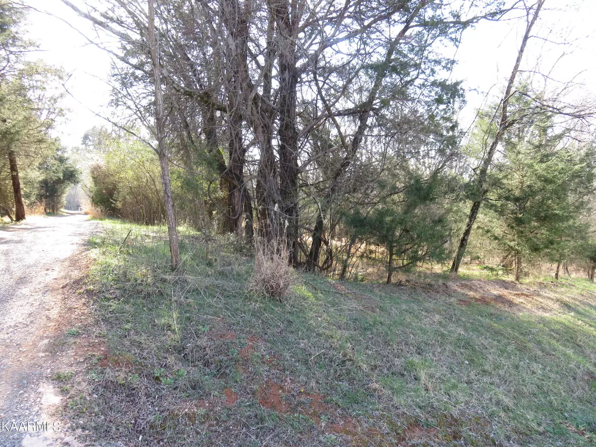 Vonore, TN 37885,Dudi Trail