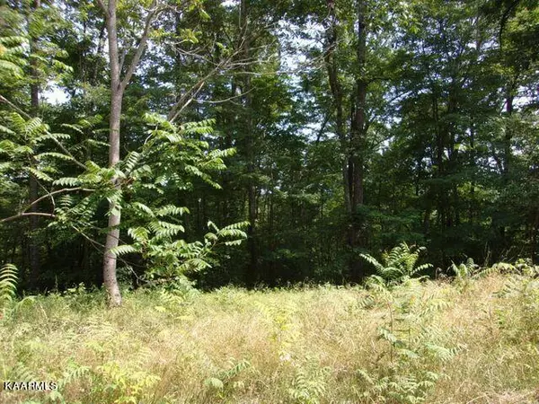 Lot 254 Marble Point WAY, New Tazewell, TN 37825