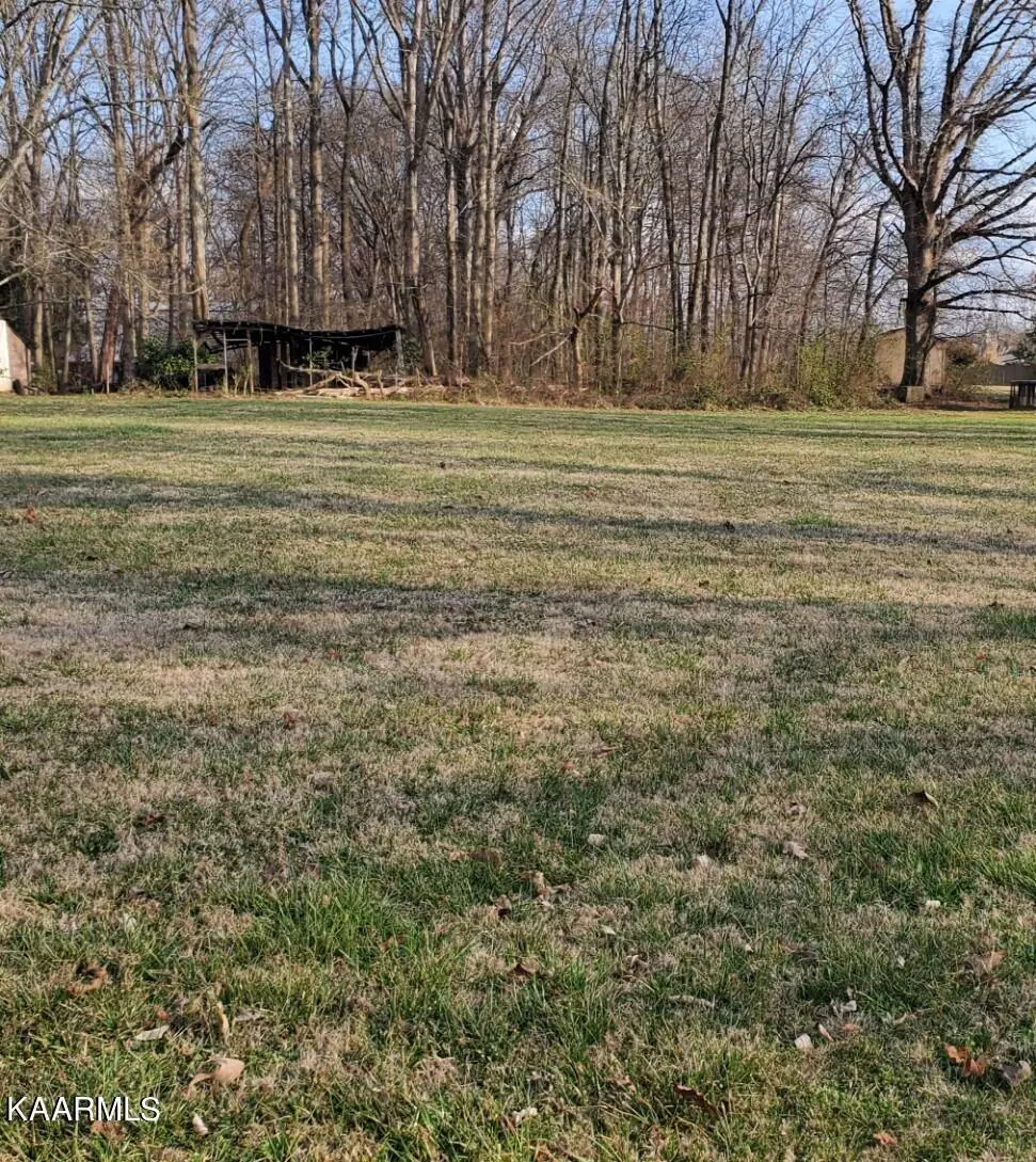 Lenoir City, TN 37772,Lot 19 Dewitt DR