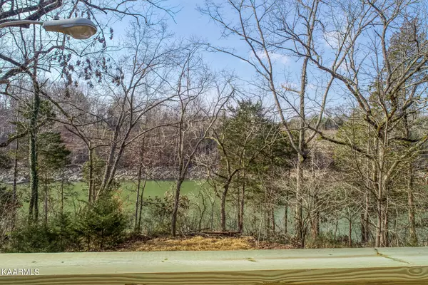 New Tazewell, TN 37825,183 Shelby LOOP