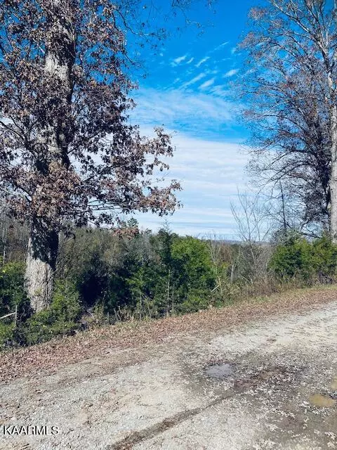 Maynardville, TN 37807,Bob Wright Rd Lot 39