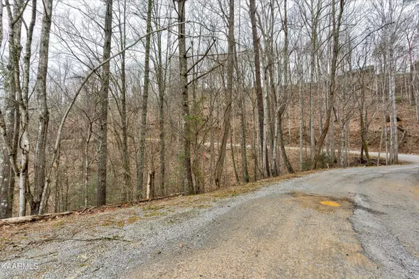 Sevierville, TN 37862,lot 13 Sunset Rd