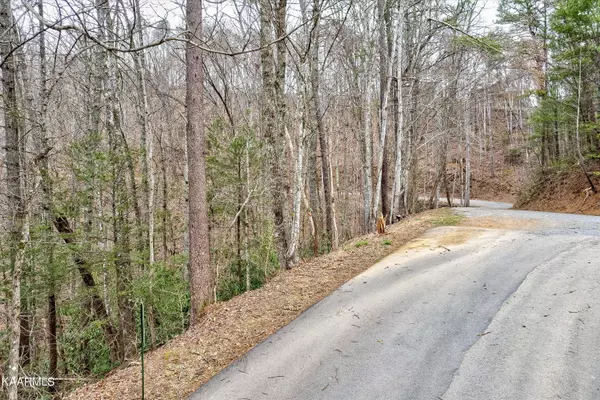 Sevierville, TN 37862,lot 13 Sunset Rd