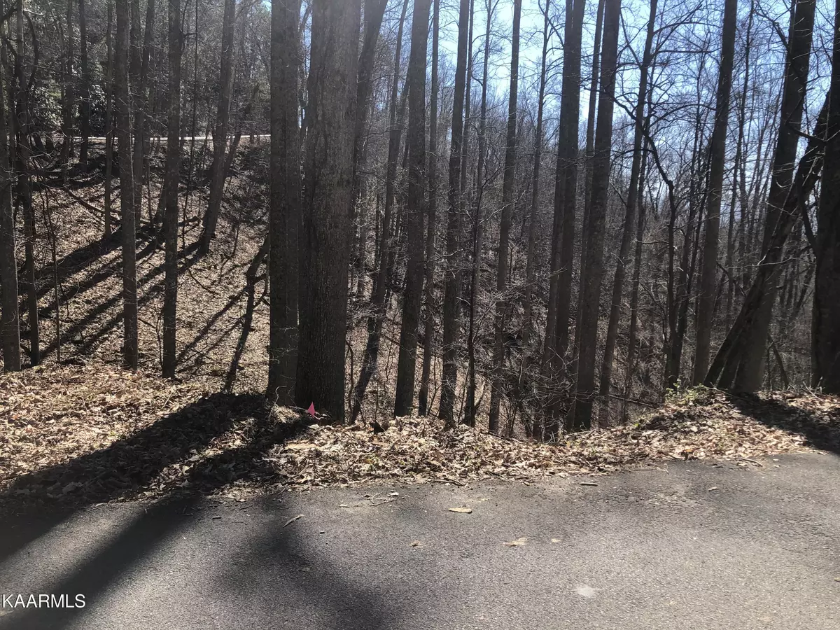 Sevierville, TN 37876,Lot 13 Alpine DR