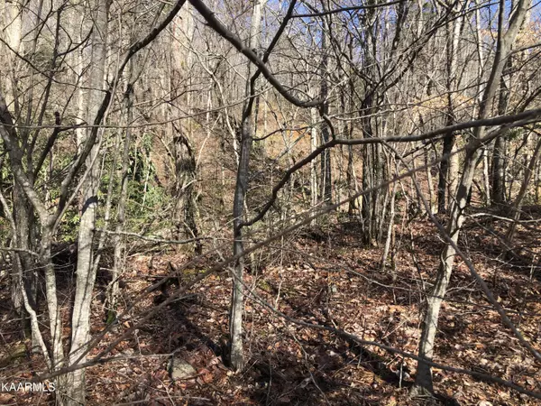 Sevierville, TN 37876,Lot 23 Alpine DR