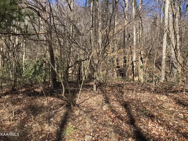 Sevierville, TN 37876,Lot 23 Alpine DR