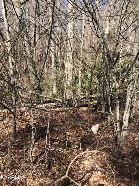 Lot 23 Alpine DR, Sevierville, TN 37876