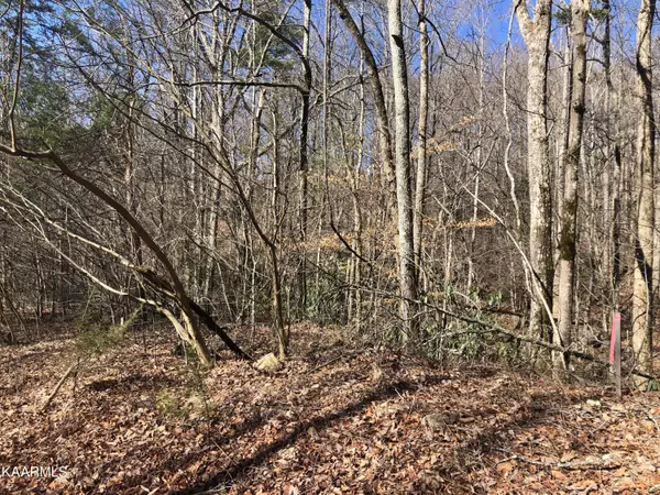 Sevierville, TN 37876,Lot 23 Alpine DR