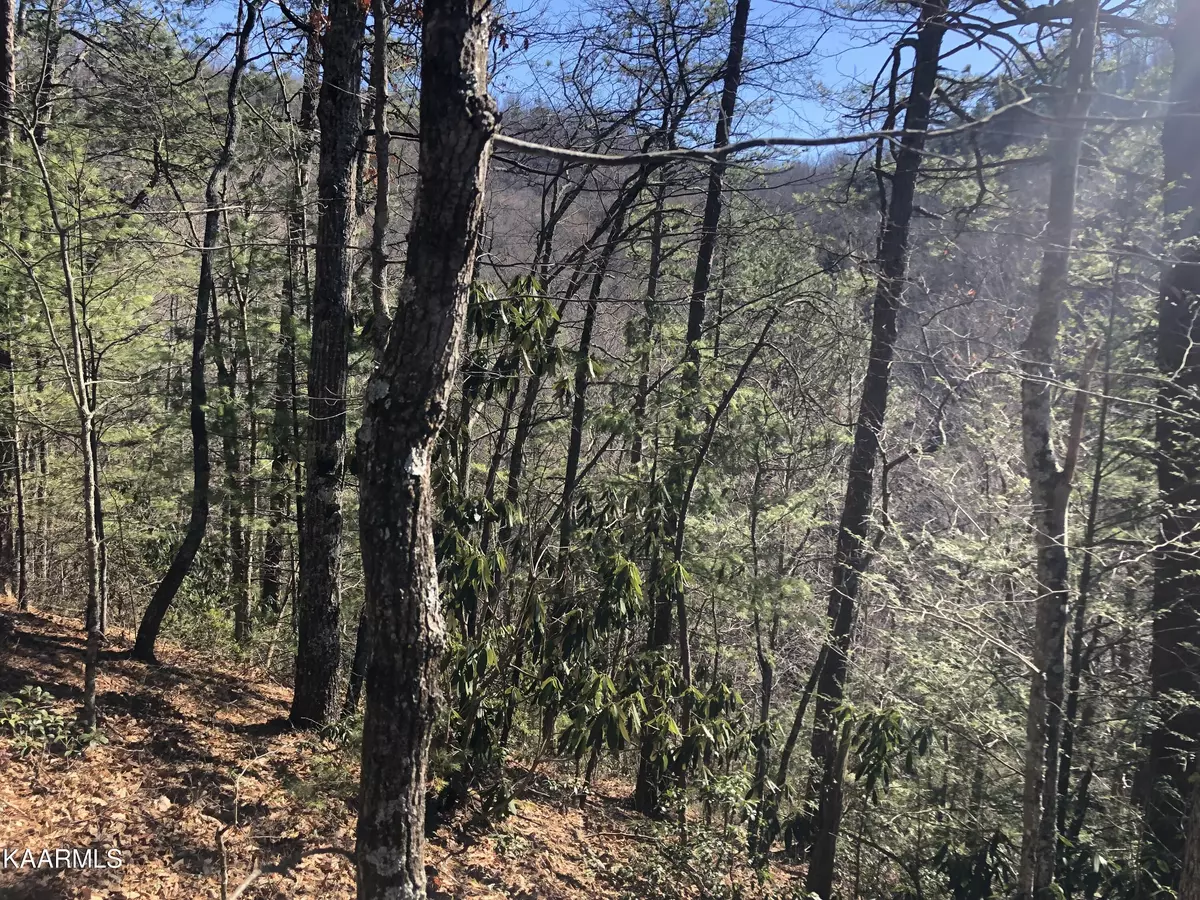 Sevierville, TN 37876,Lot 53 Magnolia PL