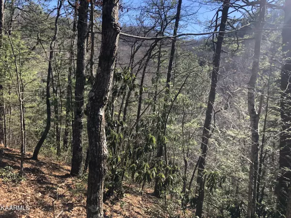 Lot 53 Magnolia PL, Sevierville, TN 37876