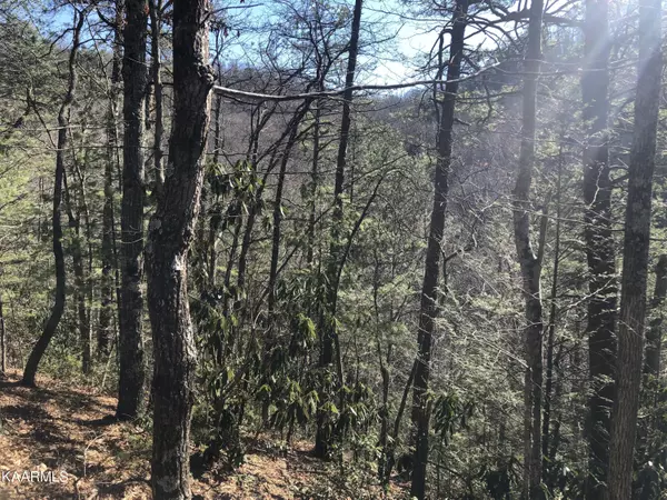 Sevierville, TN 37876,Lot 53 Magnolia PL