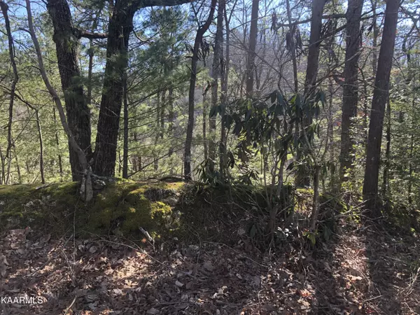 Sevierville, TN 37876,Lot 53 Magnolia PL