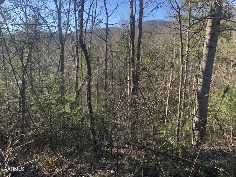 Lot 53 Butternut LN, Sevierville, TN 37876