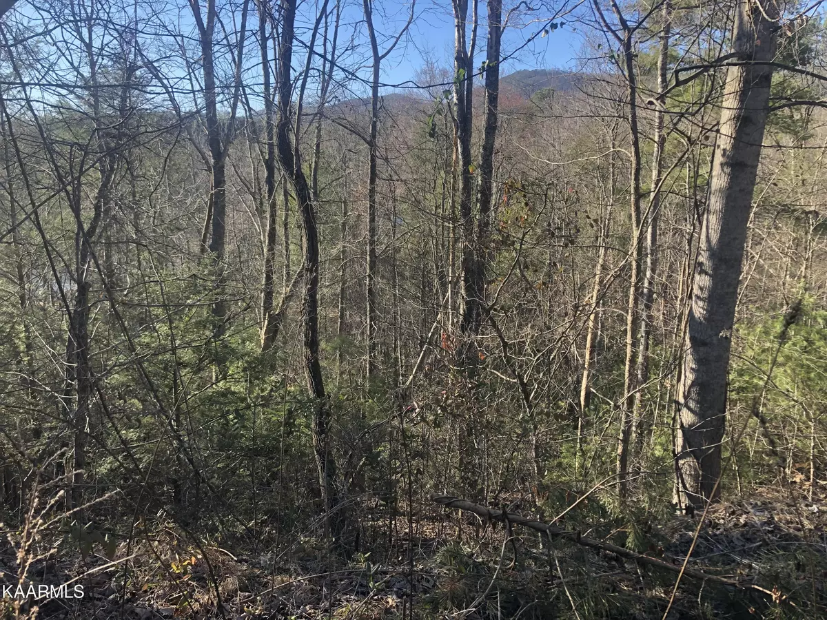 Sevierville, TN 37876,Lot 53 Butternut LN