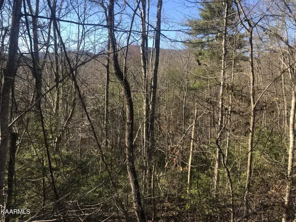 Sevierville, TN 37876,Lot 53 Butternut LN