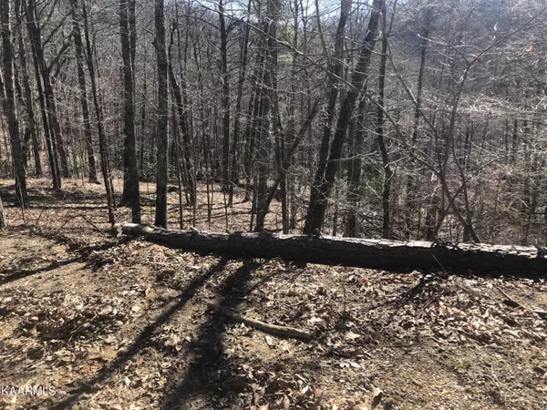 Sevierville, TN 37876,Lot 49 Magnolia CT