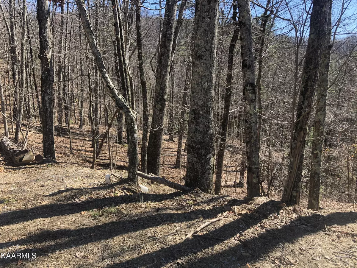 Sevierville, TN 37876,Lot 49 Magnolia CT