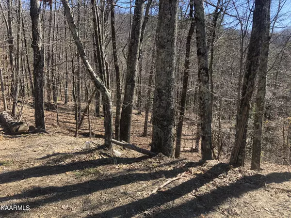 Lot 49 Magnolia CT, Sevierville, TN 37876