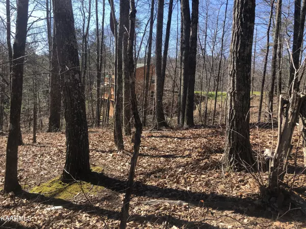 Sevierville, TN 37876,Lot 49 Magnolia CT