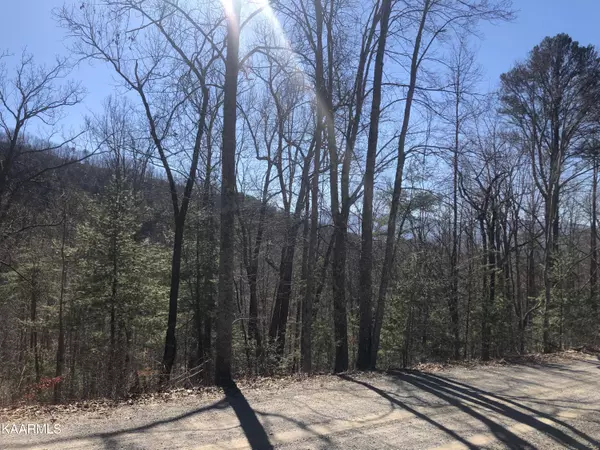 Sevierville, TN 37876,Lot 40 Hickory Tree St