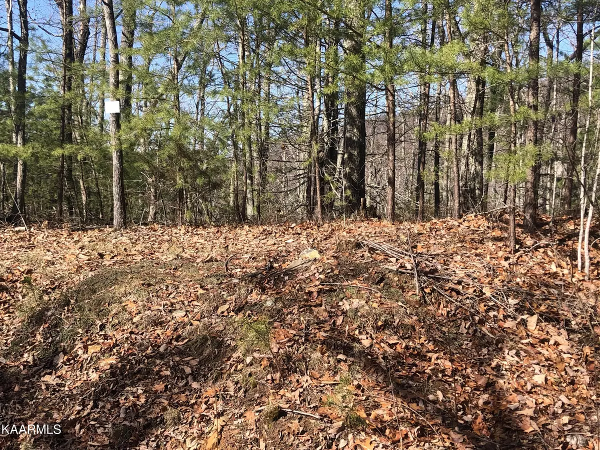 Sevierville, TN 37876,Lot 40 Hickory Tree St