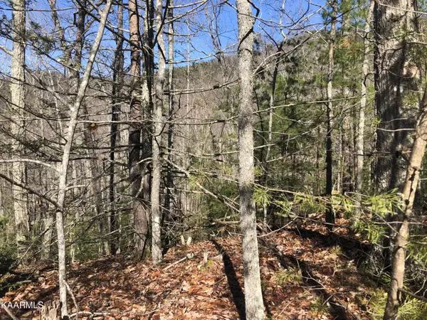 Sevierville, TN 37876,Lot 40 Hickory Tree St