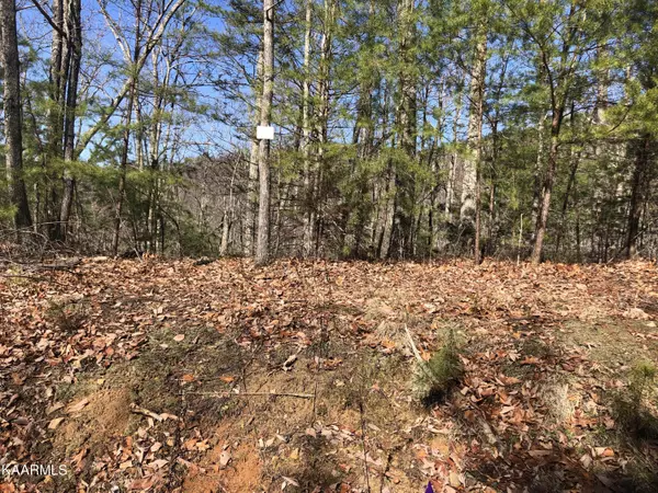 Sevierville, TN 37876,Lot 40 Hickory Tree St