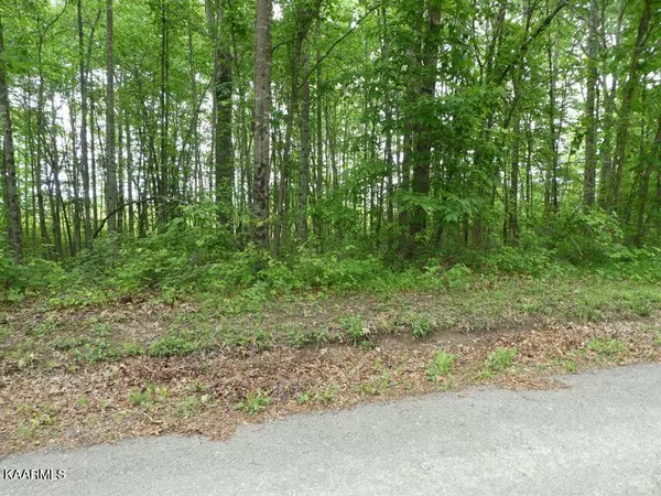 George Young Rd, Jamestown, TN 38556