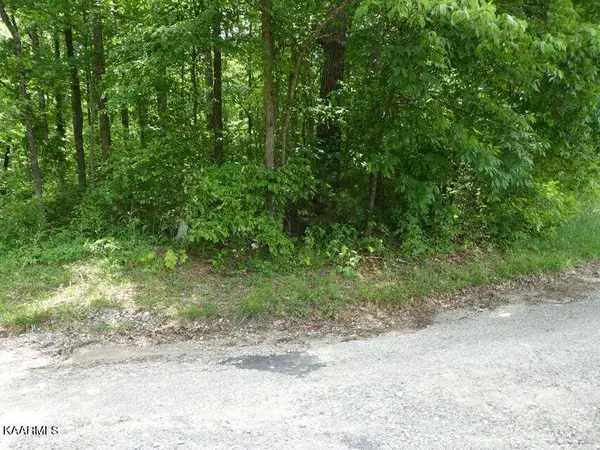 George Young Rd, Jamestown, TN 38556