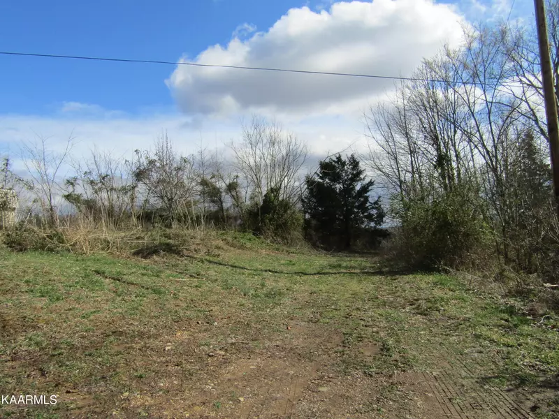 1.47 AC OLD LIVINGSTON HWY, Celina, TN 38551