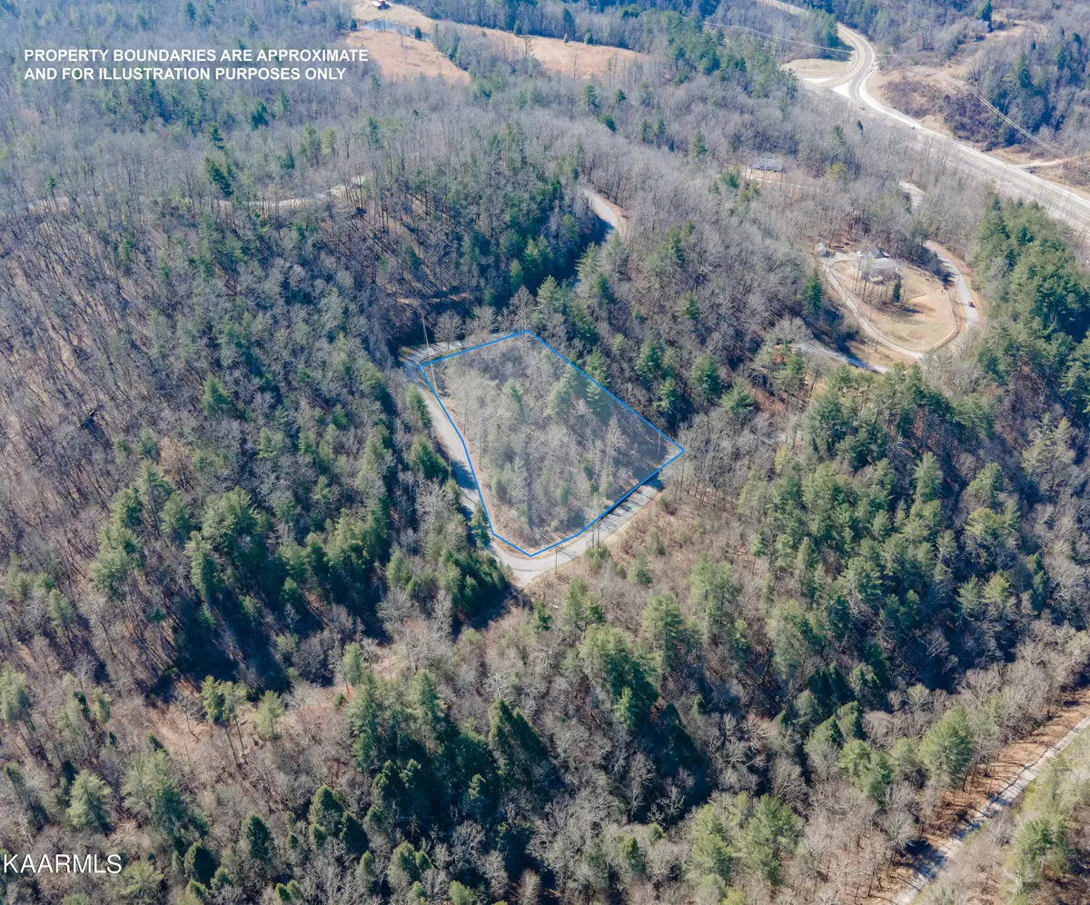 Harriman, TN 37748,Bitter Creek