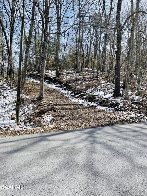 New Tazewell, TN 37825,Minton Hollow Rd