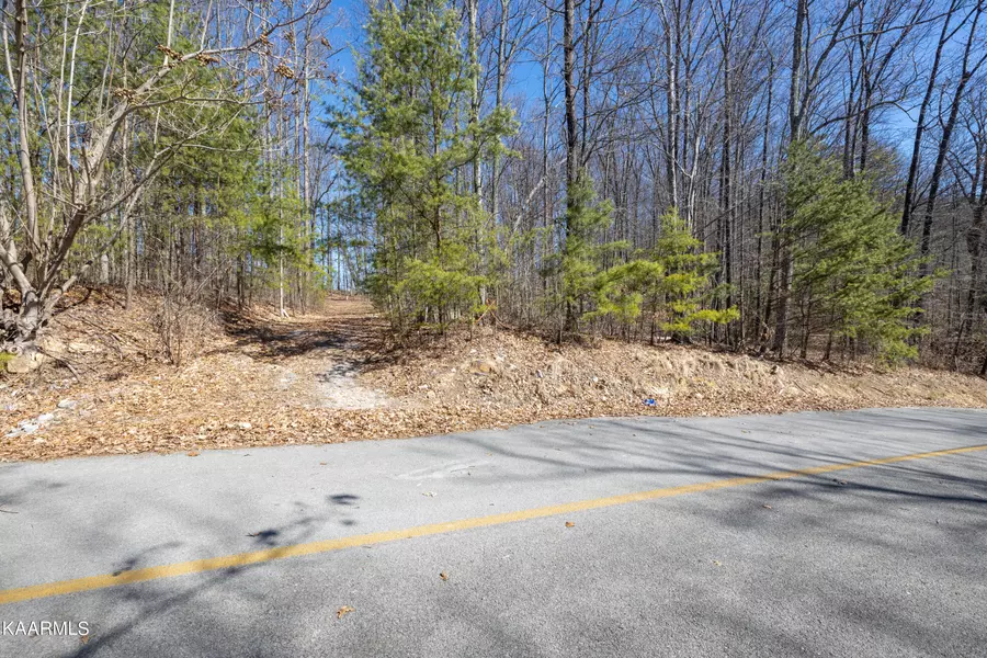 Settlers View LN, Sevierville, TN 37862