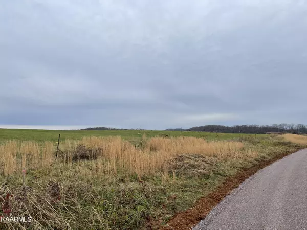 Rutledge, TN 37861,Lot 12 Howell River Rd