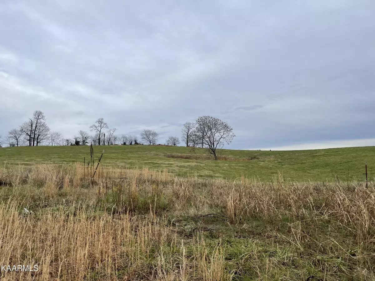 Rutledge, TN 37861,Lot 12 Howell River Rd