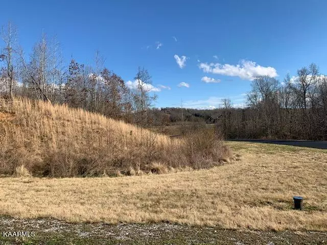 W. Mountain Dr, Lot 381, Rockwood, TN 37854