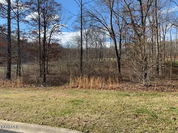 Appaloosa, Lot 238, Rockwood, TN 37854