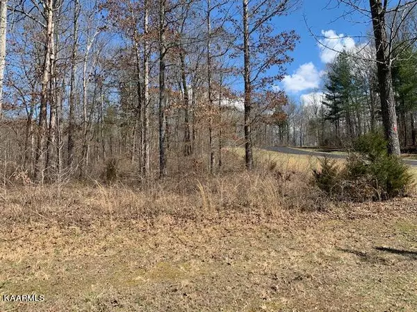 Rockwood, TN 37854,Appaloosa, Lot 238