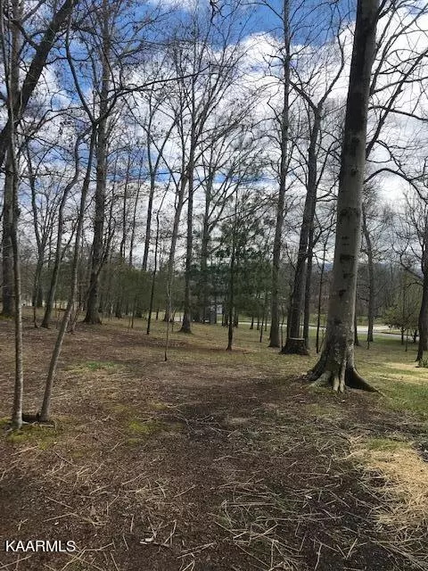 Walland, TN 37886,Lot 12-R2 Adams Rd