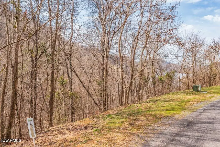 Lot 6 Walnut Bend DR, Whitesburg, TN 37891