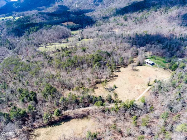 Walland, TN 37886,1241 Millers Cove Rd