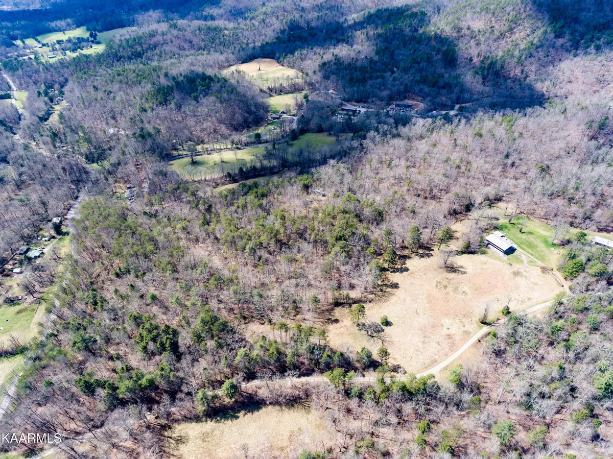 Walland, TN 37886,1241 Millers Cove Rd