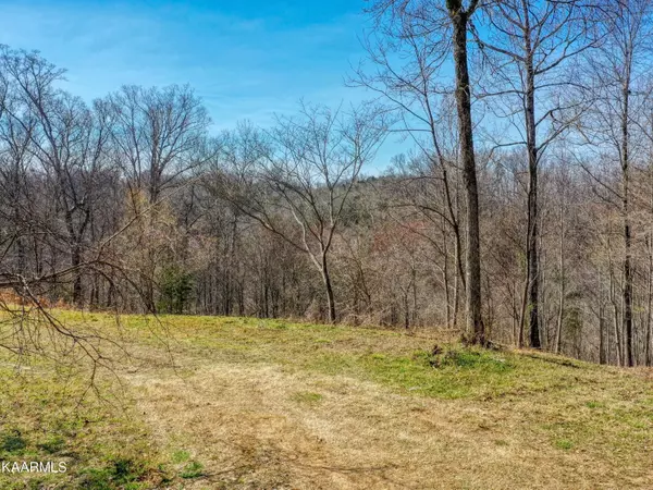 Baneberry, TN 37890,Lot 1B Virginia CT