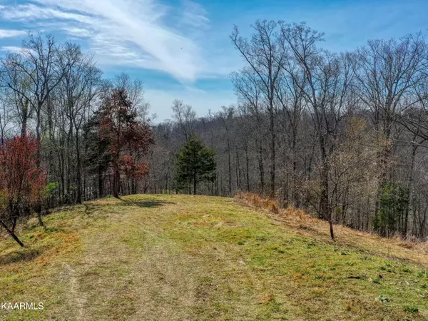 Baneberry, TN 37890,Lot 1B Virginia CT