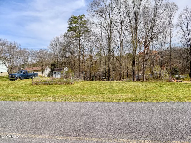 Lot 34 Idlewild DR, White Pine, TN 37890