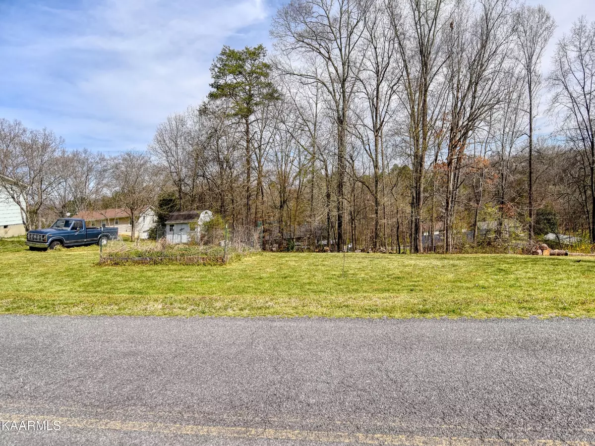 White Pine, TN 37890,Lot 34 Idlewild DR