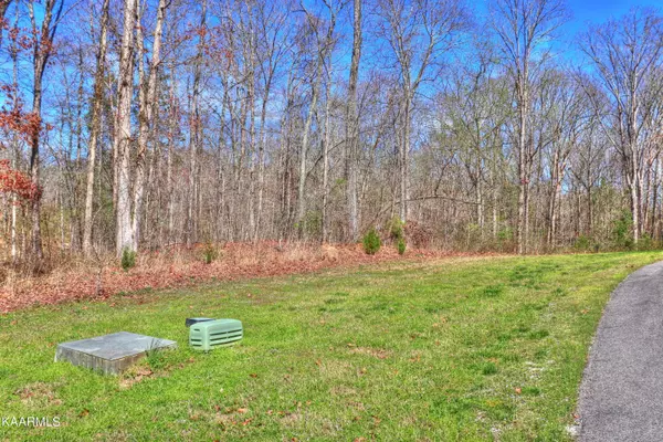 Rockwood, TN 37854,Lot 239 Appaloosa Tr