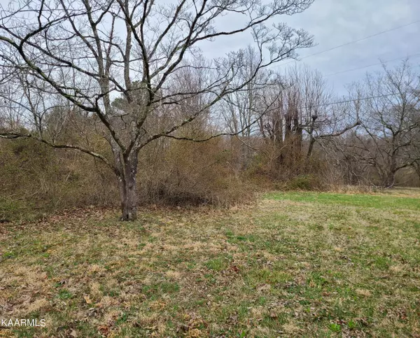 Jamestown, TN 38556,Lot 8 Hamilton Field Rd